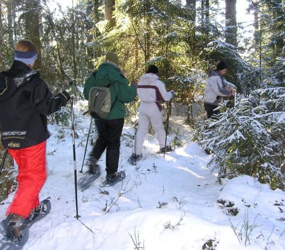 Bureau Montagne Hautes-Vosges