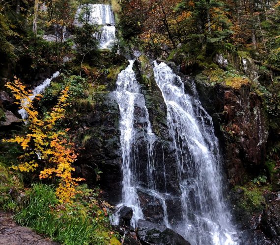 Cascades de Tendon